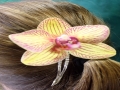 hair- yellow, orange orchid