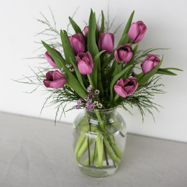 10 Pink Tulips