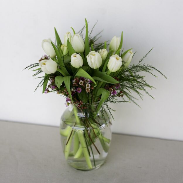 10 White Tulips