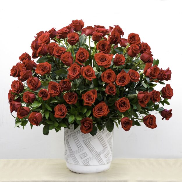 100 Red Roses