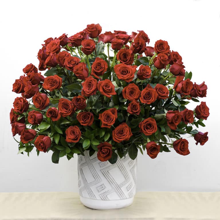 100 Red Roses Same-Day Delivery in San Diego (Long Stem)