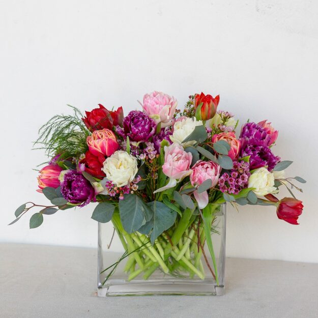 30 Mixed Color Tulips