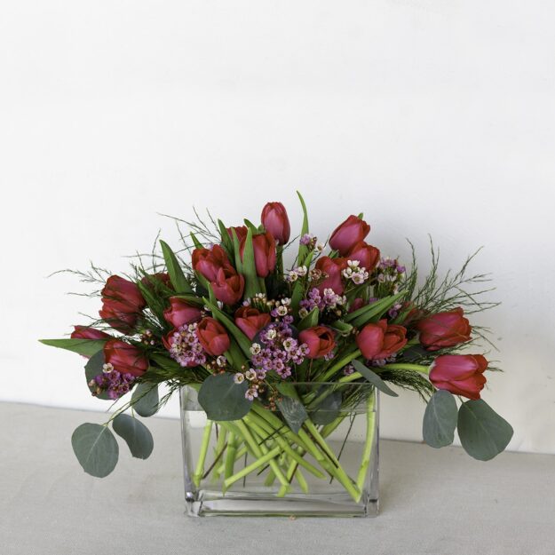 30 Beautiful Red Tulips