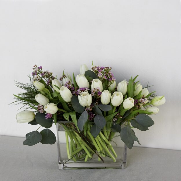 30 White Tulips