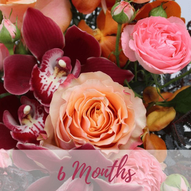 6 Month Flower Subscription