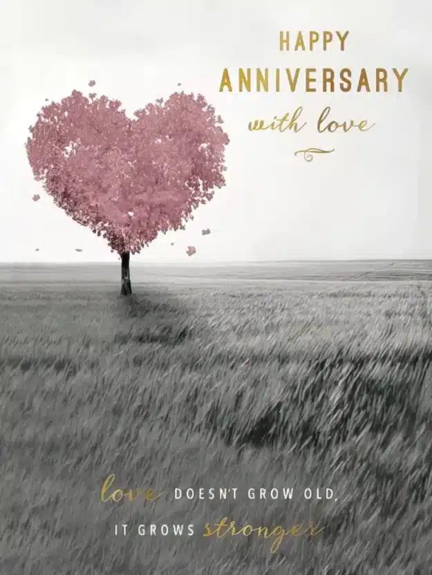 Happy Anniversary With Love