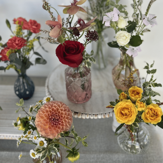 Bitty Bud Pop Up Class - February 1