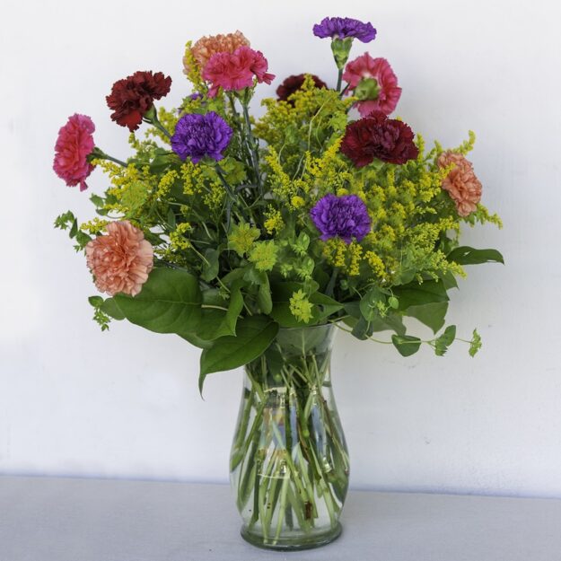 Colorful Carnations