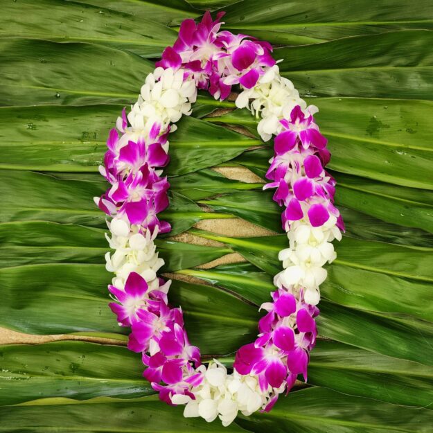 Combo Purple/White Orchid Lei