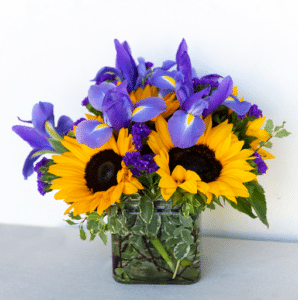 Fall Blooms