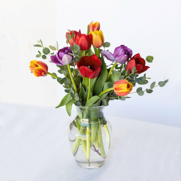 Falling For Tulips