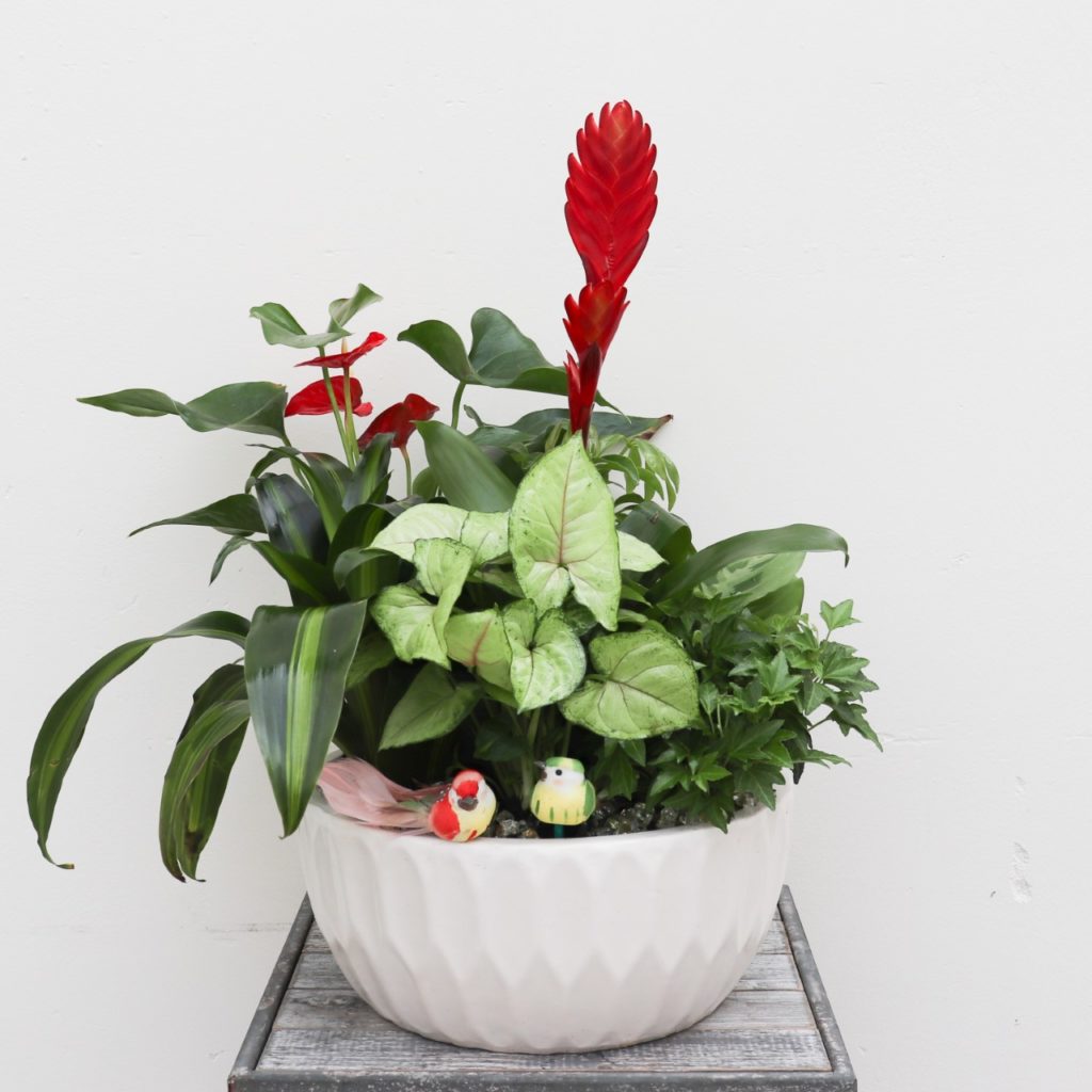 Lovebird Garden Four Seasons Flowers Flower Delivery in San Diego