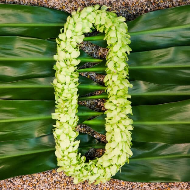 Green Orchid Lei