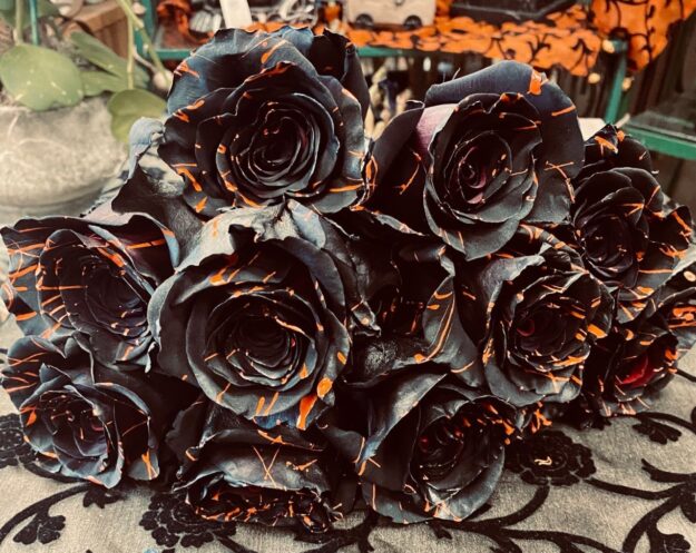 Halloween Roses