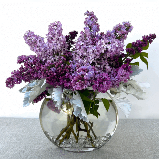In Love With Lilac