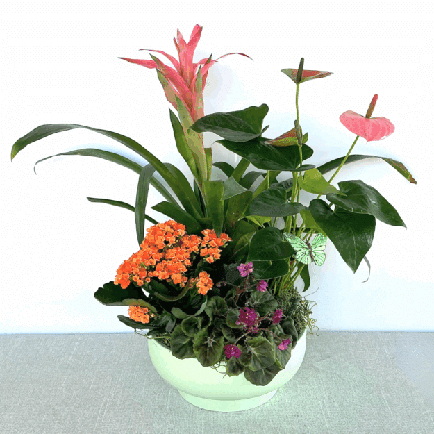 It's All Blooms