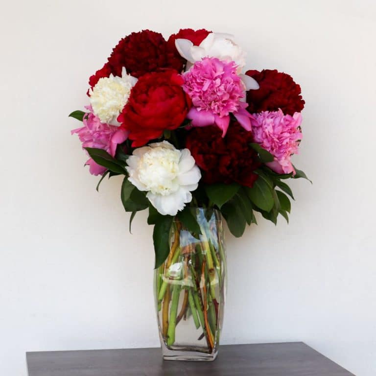 Fresh Peony Flowers Delivery Send Peonies in San Diego