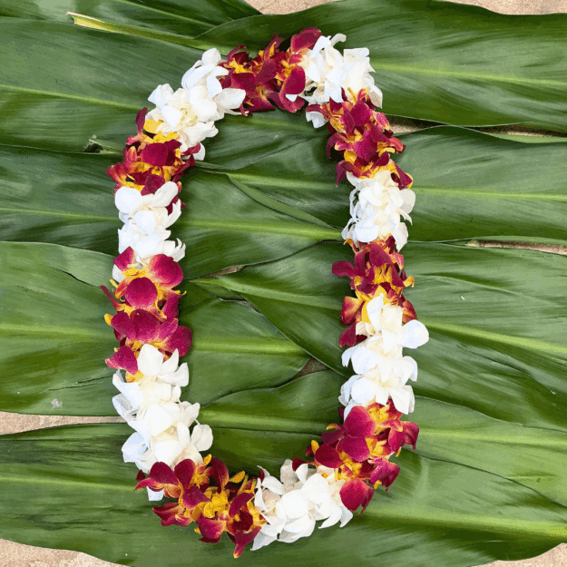 Combo Red/White Orchid Lei