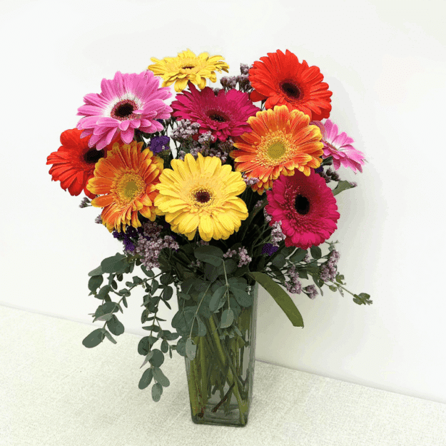Mixed Color Gerberas