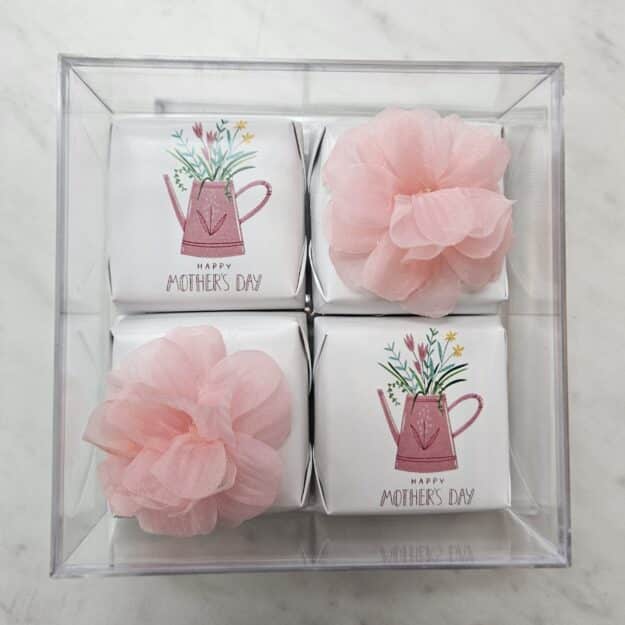 Mother's Day Chocolates - Pitchers & Bows (4 pack)