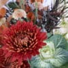 Mrs. McGregor's Garden - Image 3
