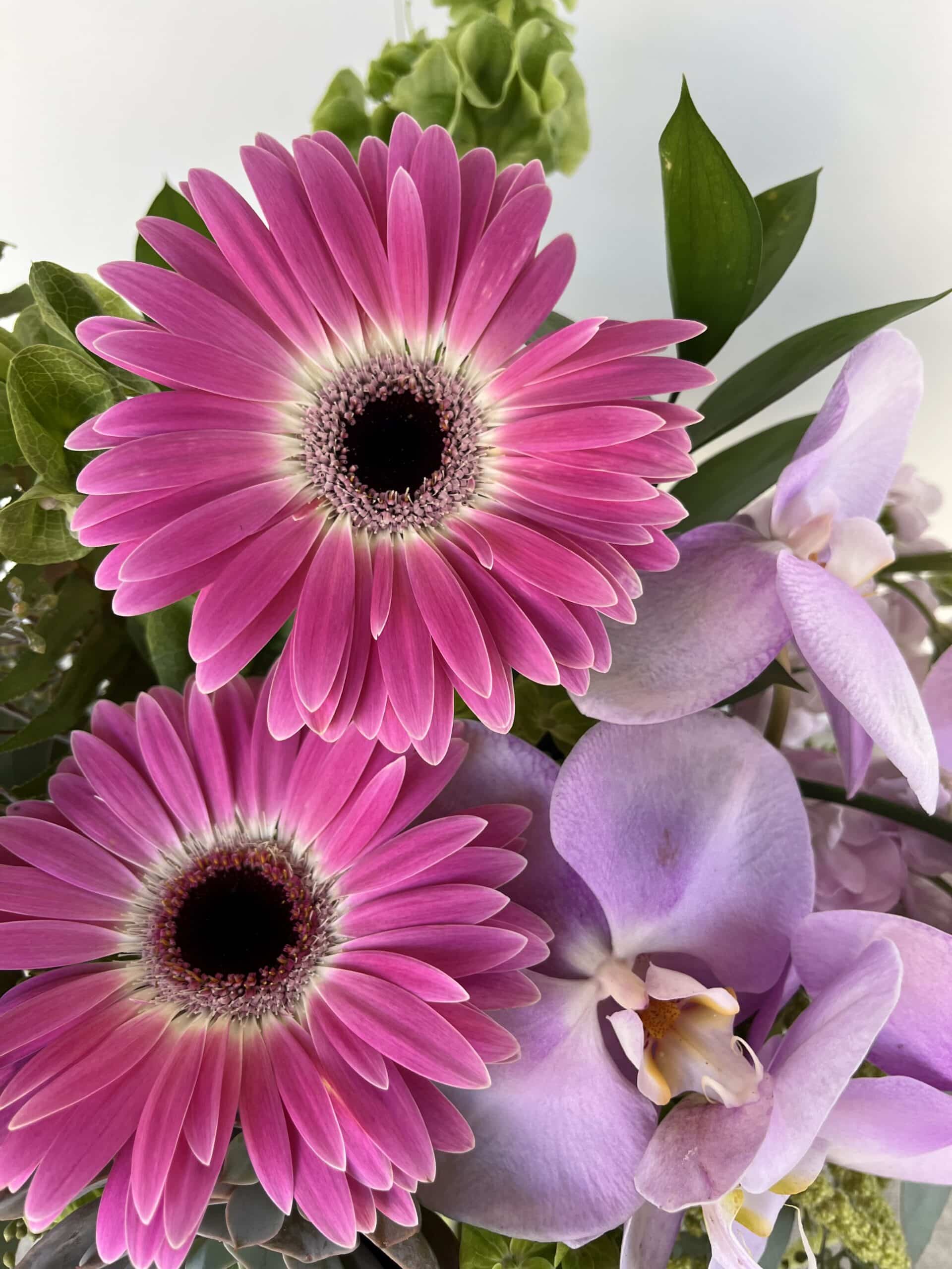 Succulents and Orchids Bouquet - Image 3