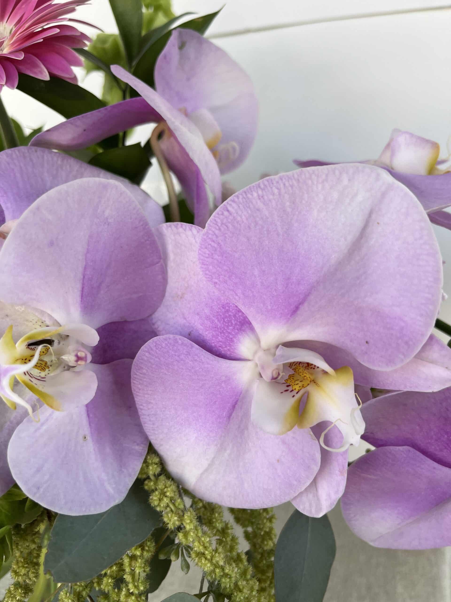 Succulents and Orchids Bouquet - Image 4