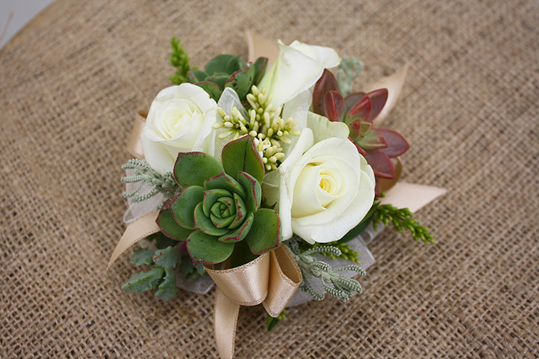 Succulents | Four Seasons Flowers - Flower Delivery in San Diego