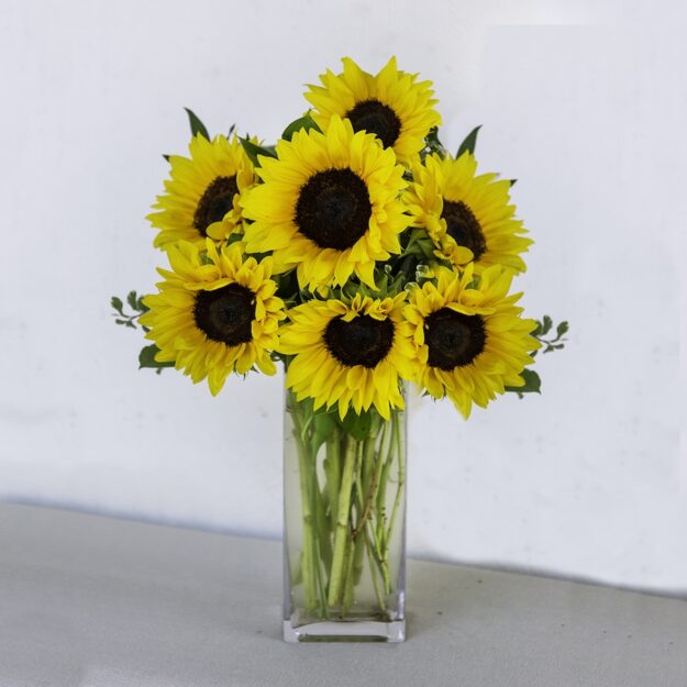Snazzy Sunflowers
