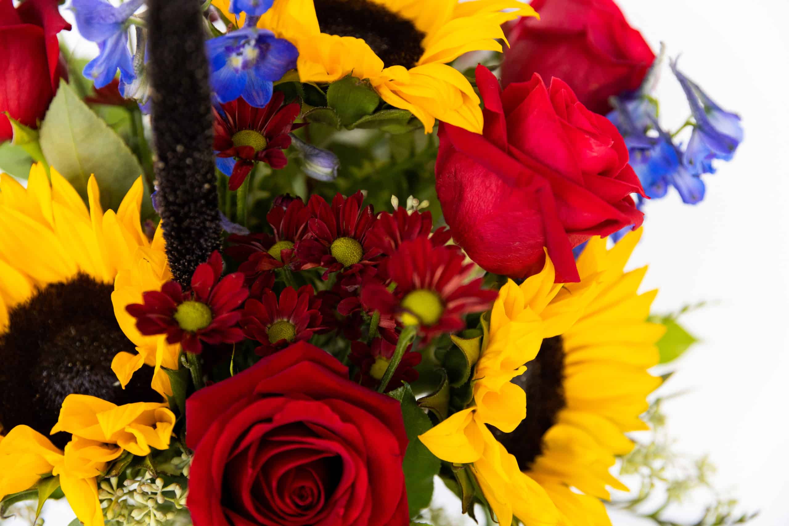 💐 San Francisco de la Paz Bouquet Sunny Skies, Bouquet Sunny Skies, SAN  FRANCISCO DE LA PAZ BAKUL HADIAH