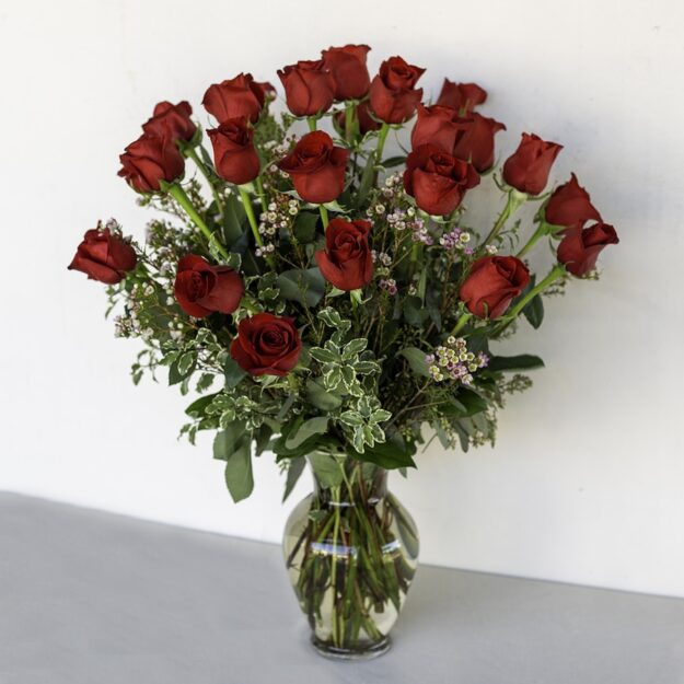 2 Dozen Amazing Roses