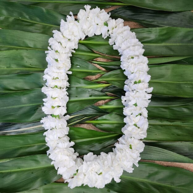 White Carnation Lei