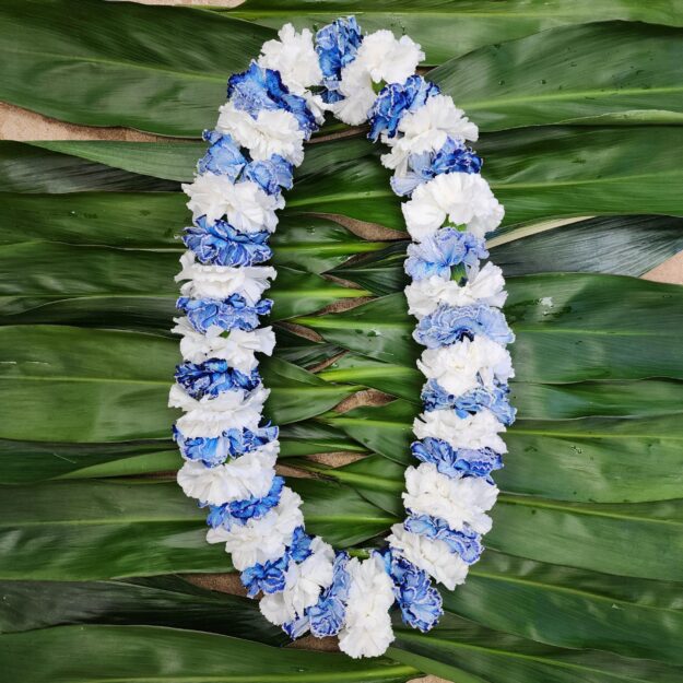 White and Blue Carnation Lei