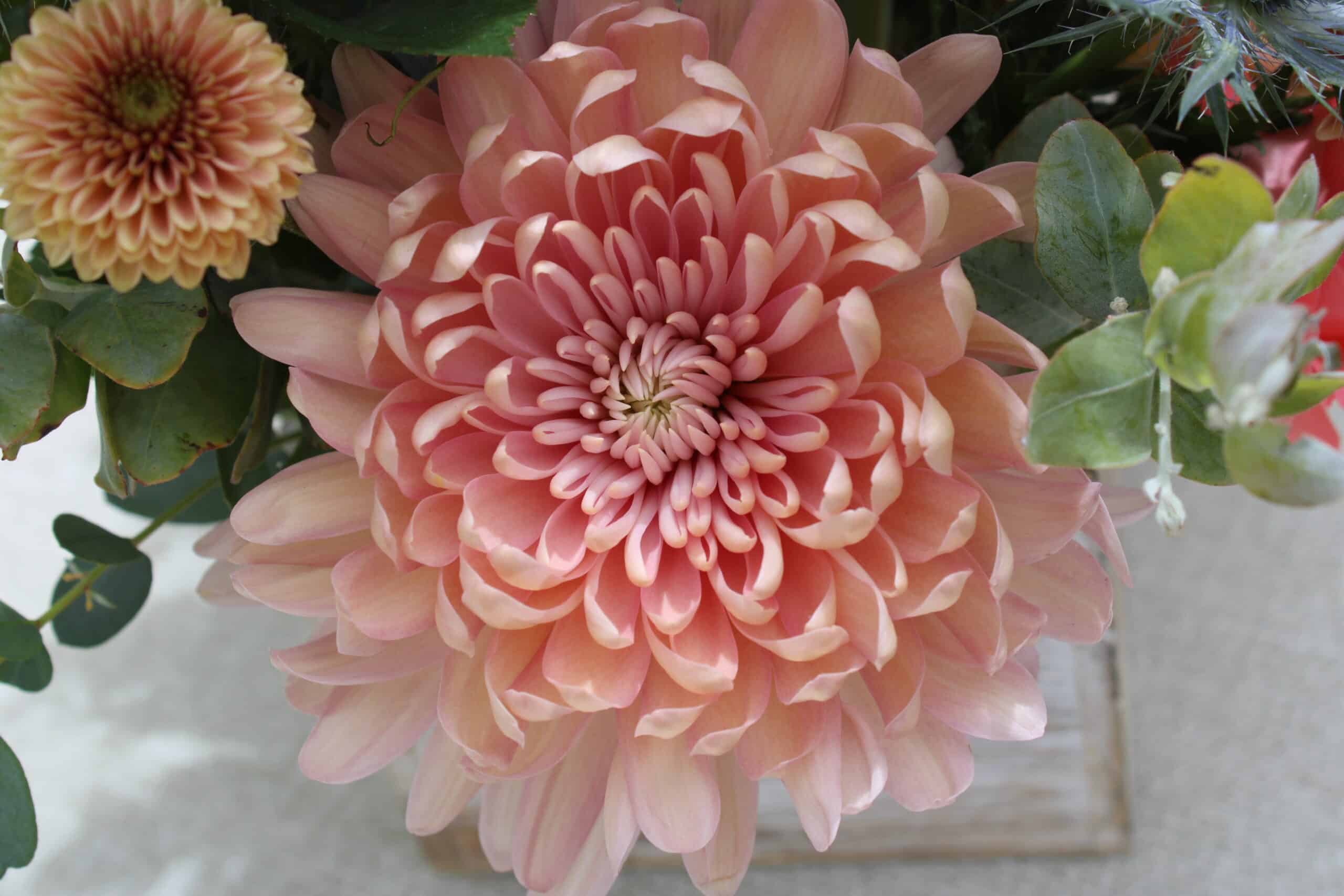 Yaya's Garden Bouquet Delivery or Pickup in San Diego