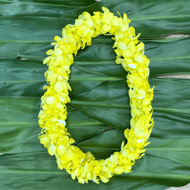 Yellow Orchid Lei