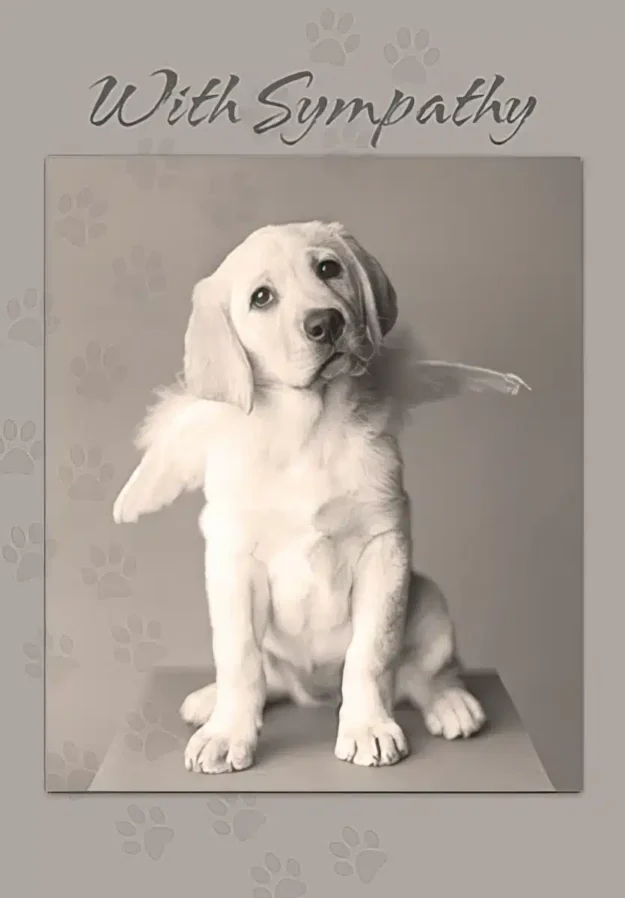 Dog Loss Sympathy