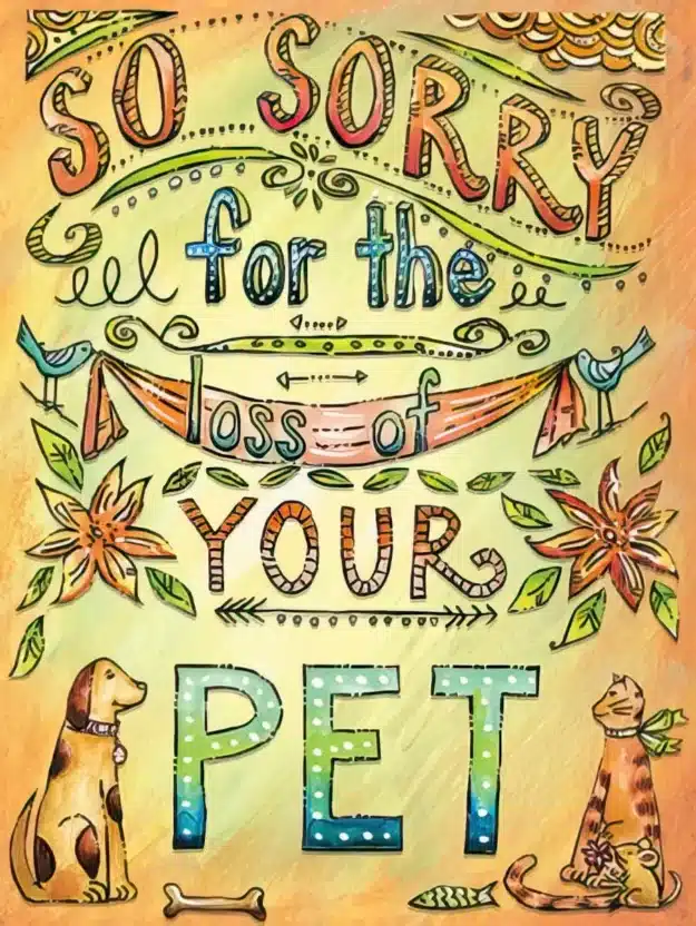 Pet Loss Sympathy